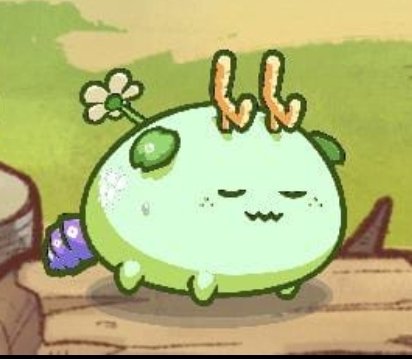 T-odd Axies tweet media