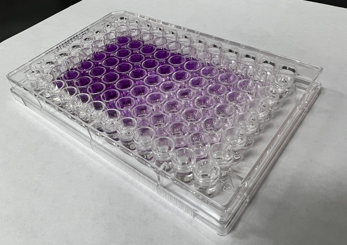 DrAUrbaniak's tweet photo. Some of our investigative compounds turned out to be very potent against human melanoma cell line. #cancerresearch #cellbiology #drugdiscovery #anticanceragents #cellviability #naturalproducts https://t.co/uy8xYcU9Ki