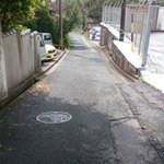 ツイートに含まれる画像