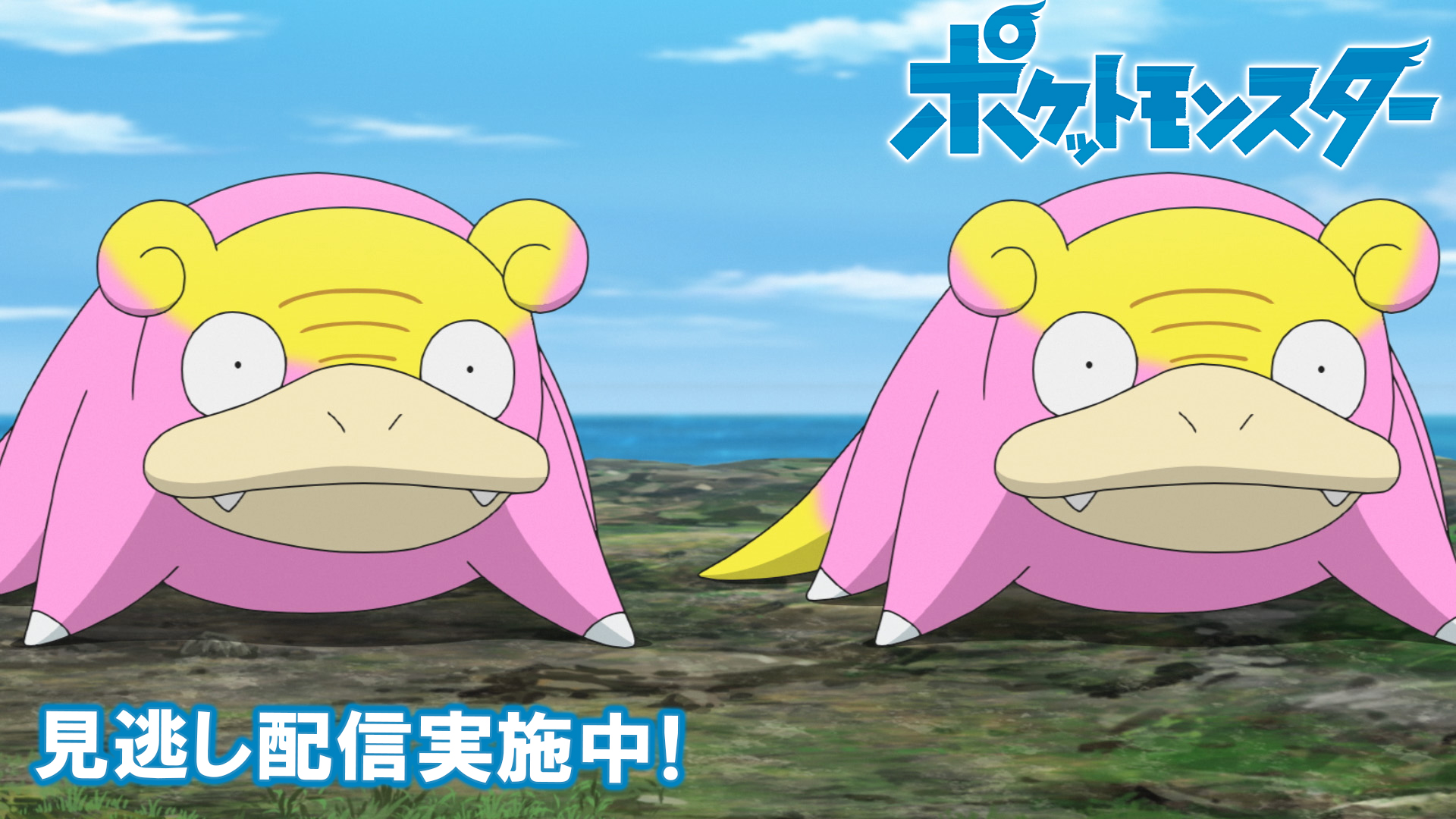 ポケモンチャンネル ポケモンチャンネル - メルカリ