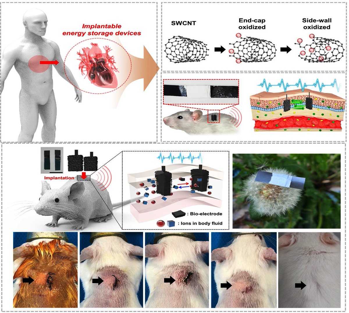 Very happy to participate in this study, published in JMCA, led by Prof. Yun Suk Huh and executed by his excellent team members. I was happy to participate by providing all electrochemical analyses. Check out the below link for more details; pubs.rsc.org/en/content/art…