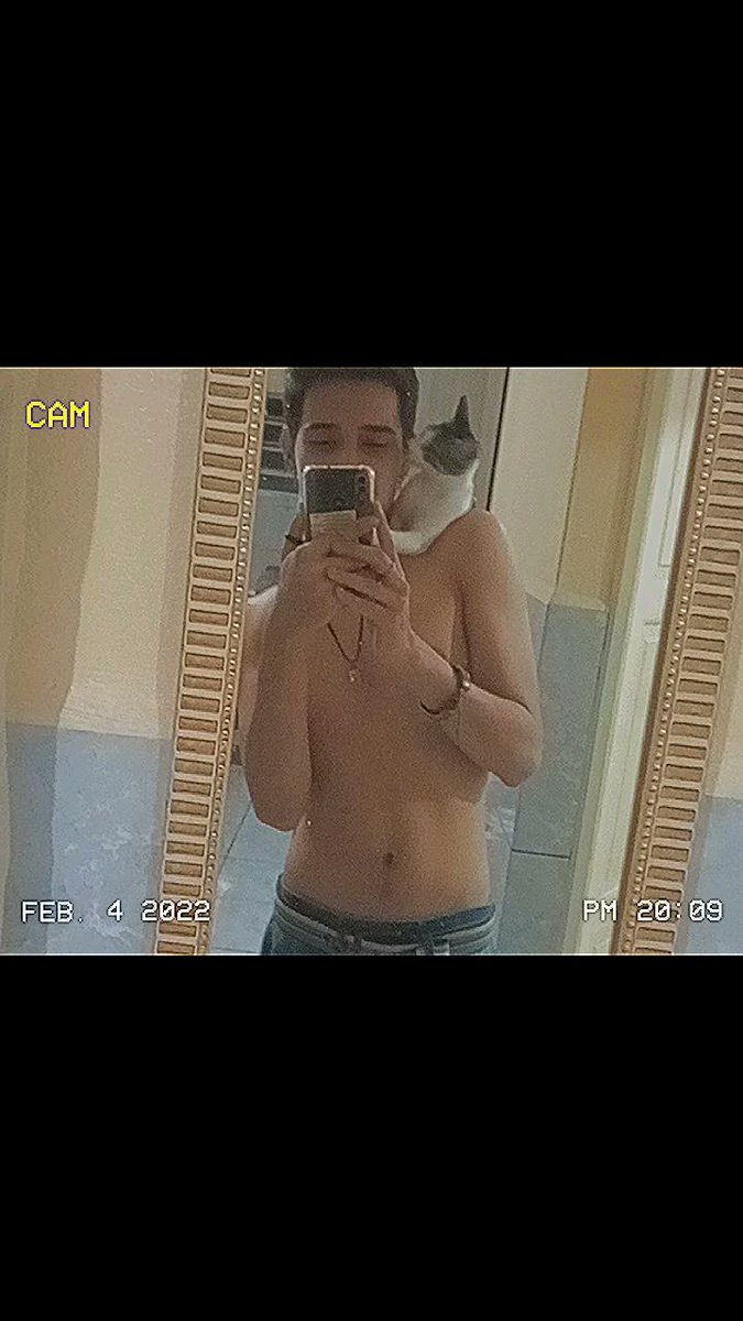 _Faelmo_'s tweet image. mivida 🐱🌗