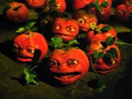 ConditorCancri's tweet photo. @VeggieTales my tomatoes refuse to accept the gospel what should i do https://t.co/C1oKtZ4Rts