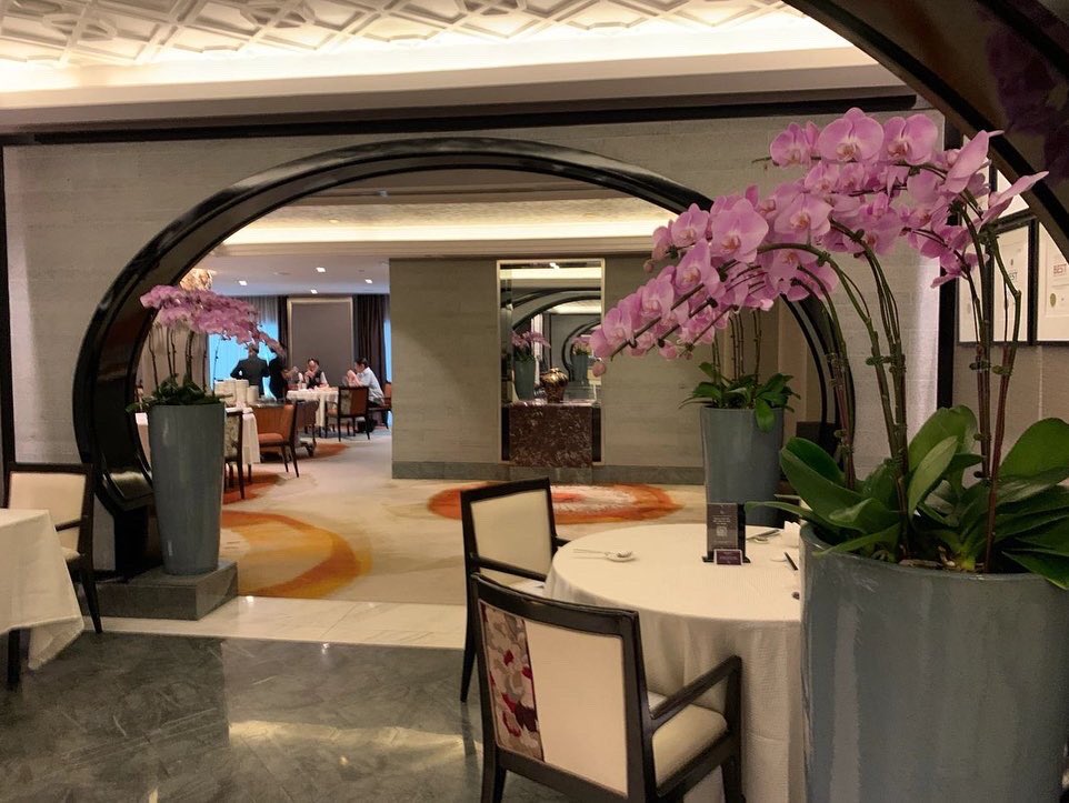 Alfred_jiaming's tweet photo. Morning tea today.🍵 https://t.co/vyOmSaR0Hd