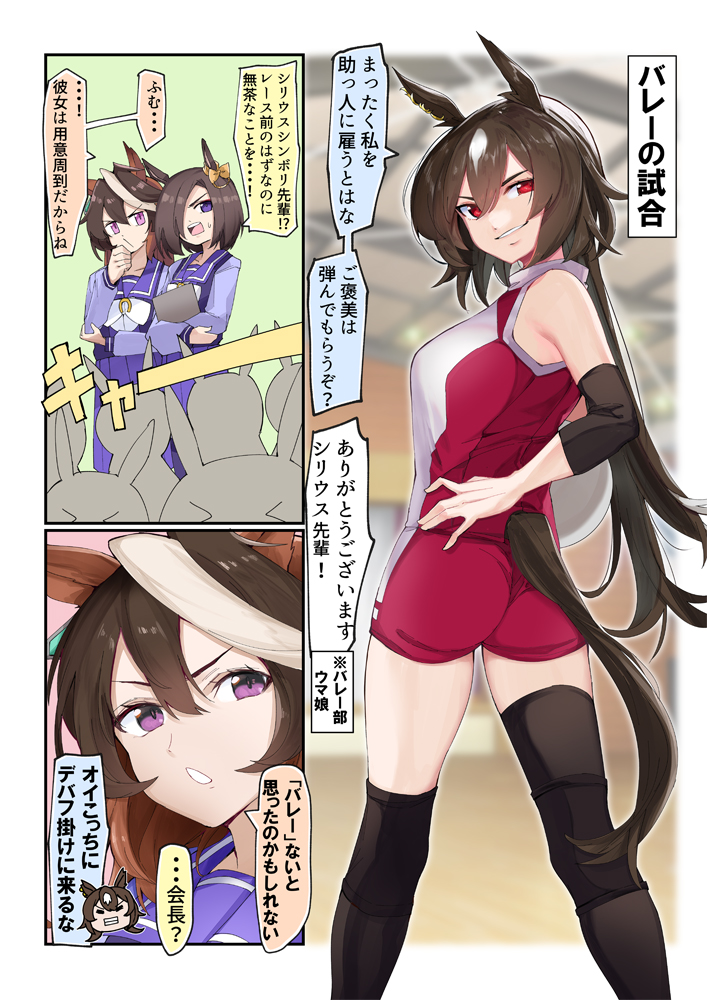 ウマ娘漫画 シリウスシンボリとバレー 