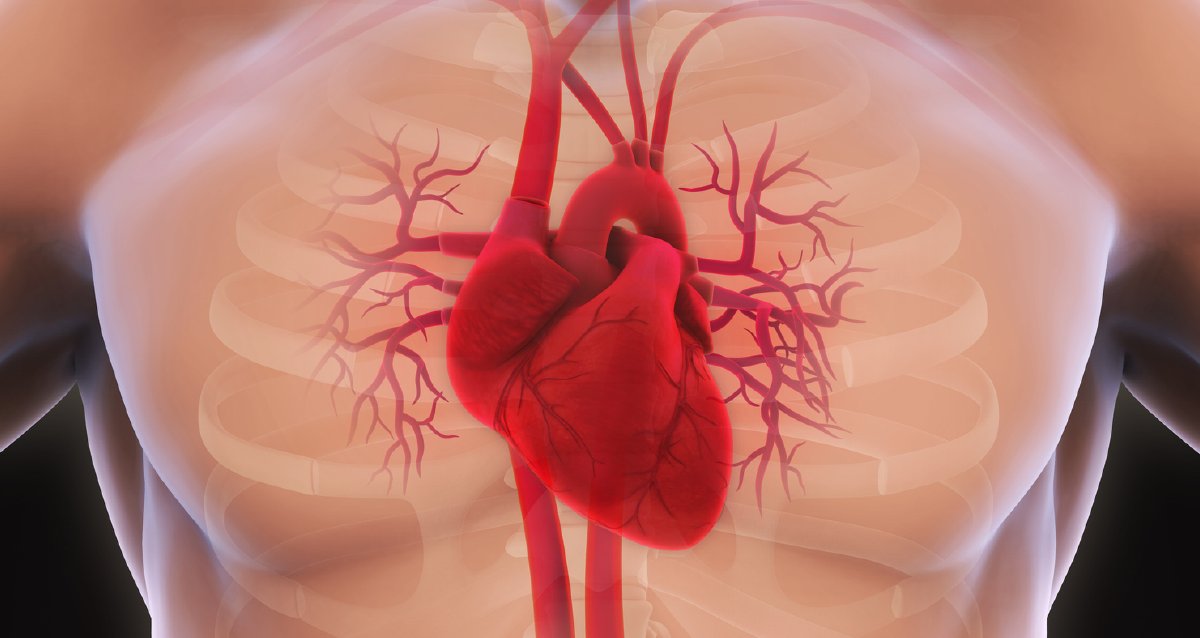 WebMD's tweet photo. People who have had COVID-19 have an increased risk of heart disease 12 months after infection, a danger that is substantial and spans an array of heart disorders, a deep dive into federal data suggests. https://t.co/GWCGKg9RV6 https://t.co/xZ2tzKIhBQ