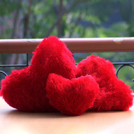 ItsIndiaGift's tweet image. Order Trio Love @ 691 INR - indiagift.in/trio-of-love-i…
Love Messenger @ 751 INR - indiagift.in/love-messenger… #VALENTINESDAYGIFTS #GIFTSFORGF #BFF #INDIAGIFT #ITSINDIAGIFT
