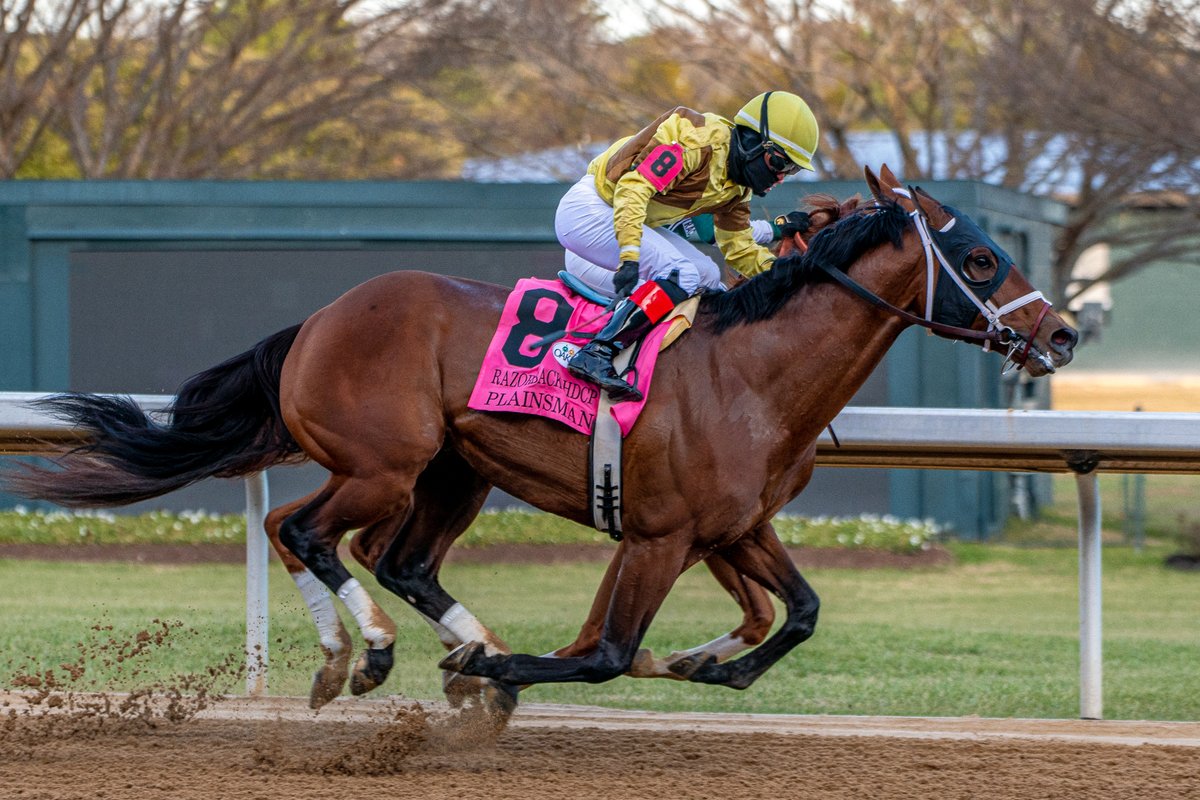 Plainsman (outside) & Thomas Shelby nearly inseparable approaching the wire in the $600,000 Razorback Handicap (G3) for older horses Saturday afternoon @OaklawnRacing. https://t.co/JLLXQ9ouvf