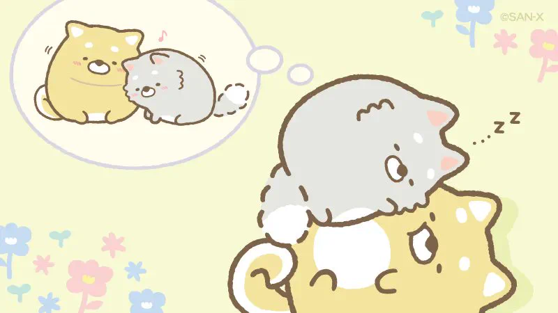 FLceOVYXIAAJ3mP?format=webp&