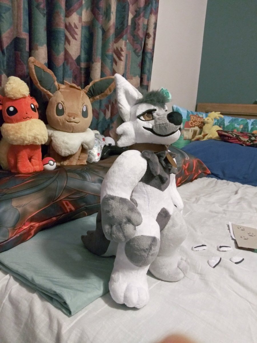 Fluffybutt_Pup's tweet photo. @WispyChipmunk ! He made it home safely! He's already comfortable and enjoying the Olympics with me :3 he's so perfect I love him! Thank you so much! And for the imported chocolates lol

Don't worry! I will make a lot of content with him in the future! :3 https://t.co/hT9ZZxZvyZ