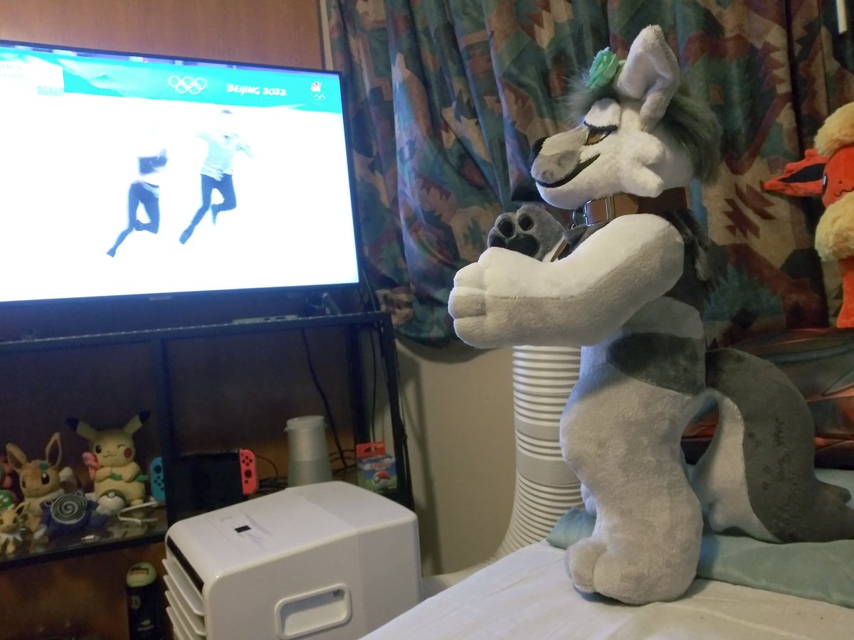 Fluffybutt_Pup's tweet photo. @WispyChipmunk ! He made it home safely! He's already comfortable and enjoying the Olympics with me :3 he's so perfect I love him! Thank you so much! And for the imported chocolates lol

Don't worry! I will make a lot of content with him in the future! :3 https://t.co/hT9ZZxZvyZ
