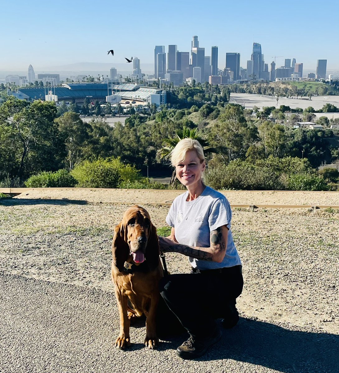 LAPDCARRANZA's tweet photo. Congratulations to all who completed the National Police Bloodhound Association Seminar @LAPDHQ These certified #Bloodhound K9s will go on to provide fantastic service to communities throughout the #USA 🇺🇸 Thank you for all you do! 🙏🏼💙🐾🐕🚔 #LAPD #NPBA https://t.co/lUYb4Ukepo