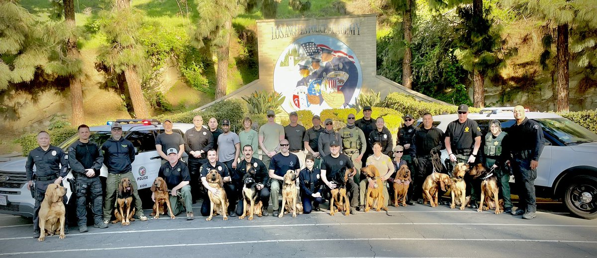 LAPDCARRANZA's tweet photo. Congratulations to all who completed the National Police Bloodhound Association Seminar @LAPDHQ These certified #Bloodhound K9s will go on to provide fantastic service to communities throughout the #USA 🇺🇸 Thank you for all you do! 🙏🏼💙🐾🐕🚔 #LAPD #NPBA https://t.co/lUYb4Ukepo