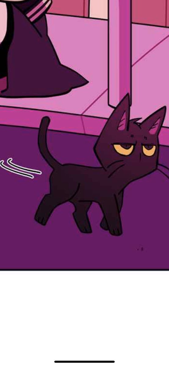 ChipsNoi's tweet photo. This cat is a mood✨ https://t.co/bR387SoMYR