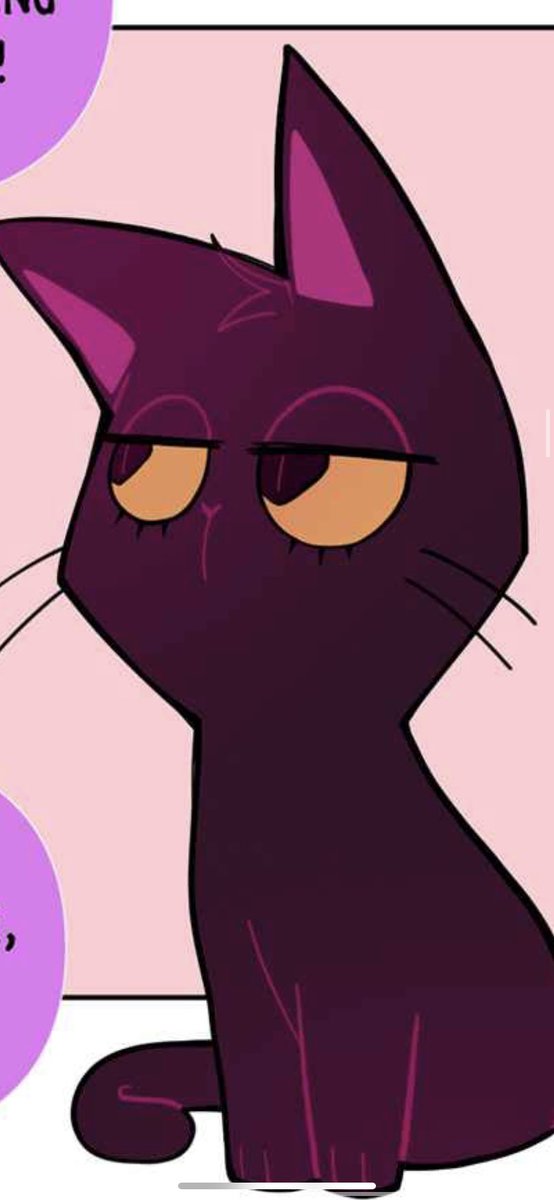 ChipsNoi's tweet photo. This cat is a mood✨ https://t.co/bR387SoMYR