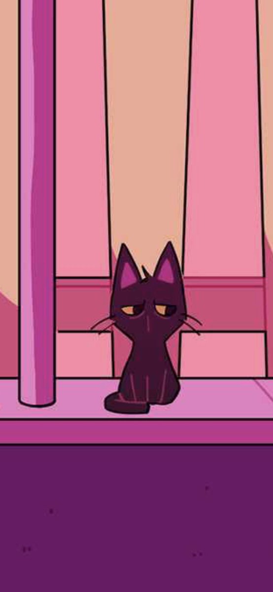 ChipsNoi's tweet photo. This cat is a mood✨ https://t.co/bR387SoMYR