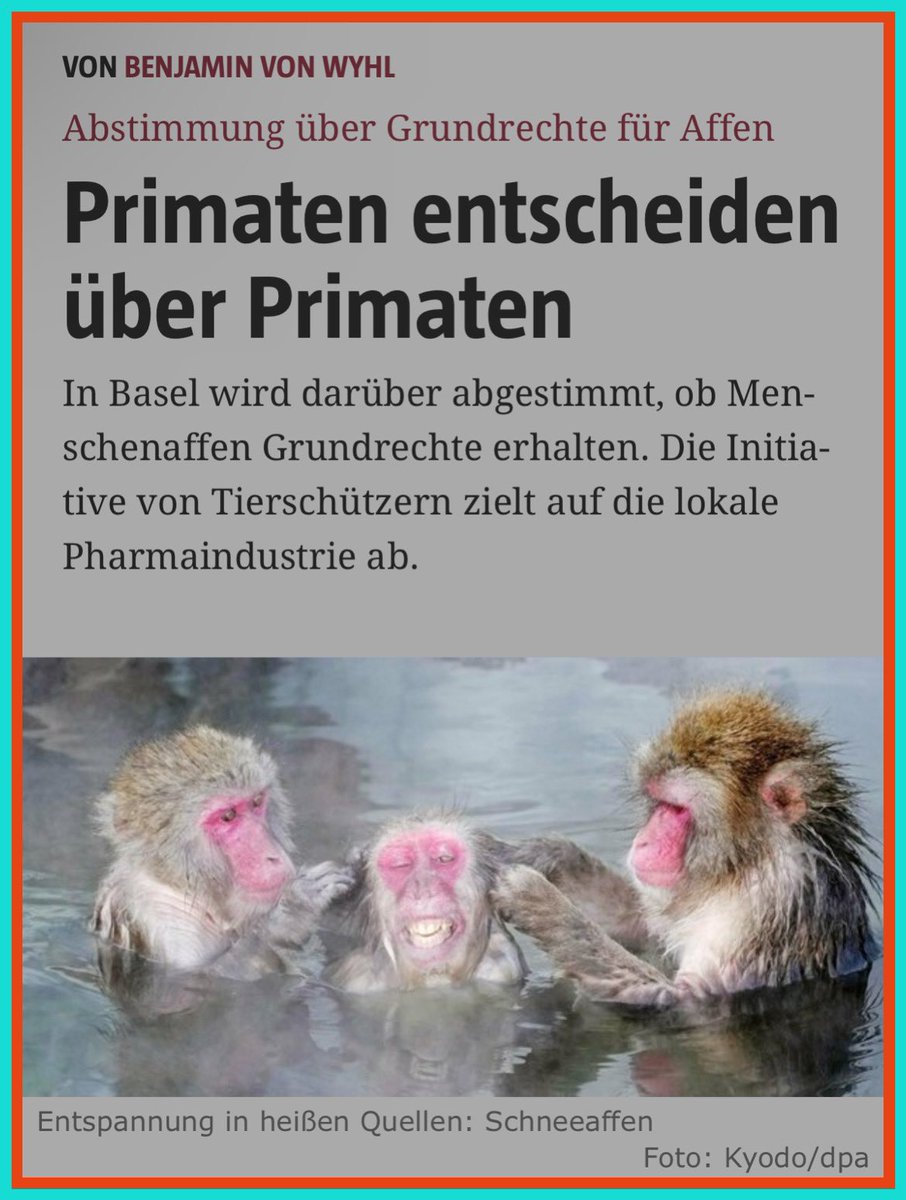 pimmleur's tweet image. &quot;Konkret geht es bei der Abstimmung im Schweizer Stadtkanton darum, ob allen nichtmenschlichen Primaten das Recht auf Leben sowie das Recht auf körperliche und seelische #Unversehrtheit zugesprochen wird.&quot;

#Grundgesetz #gegenimpfpflicht

taz.de/Abstimmung-ueb…