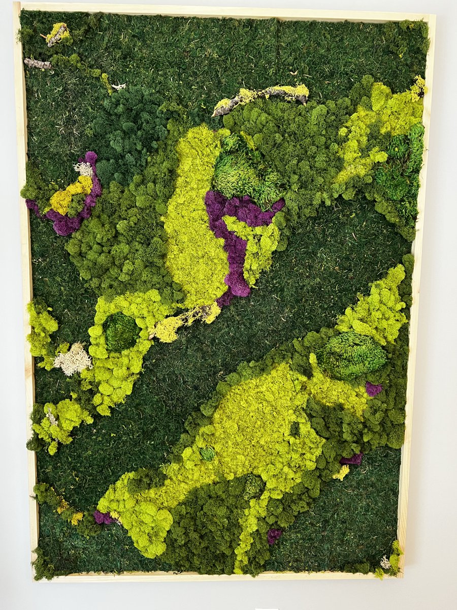 Andrew Keezer tweet media