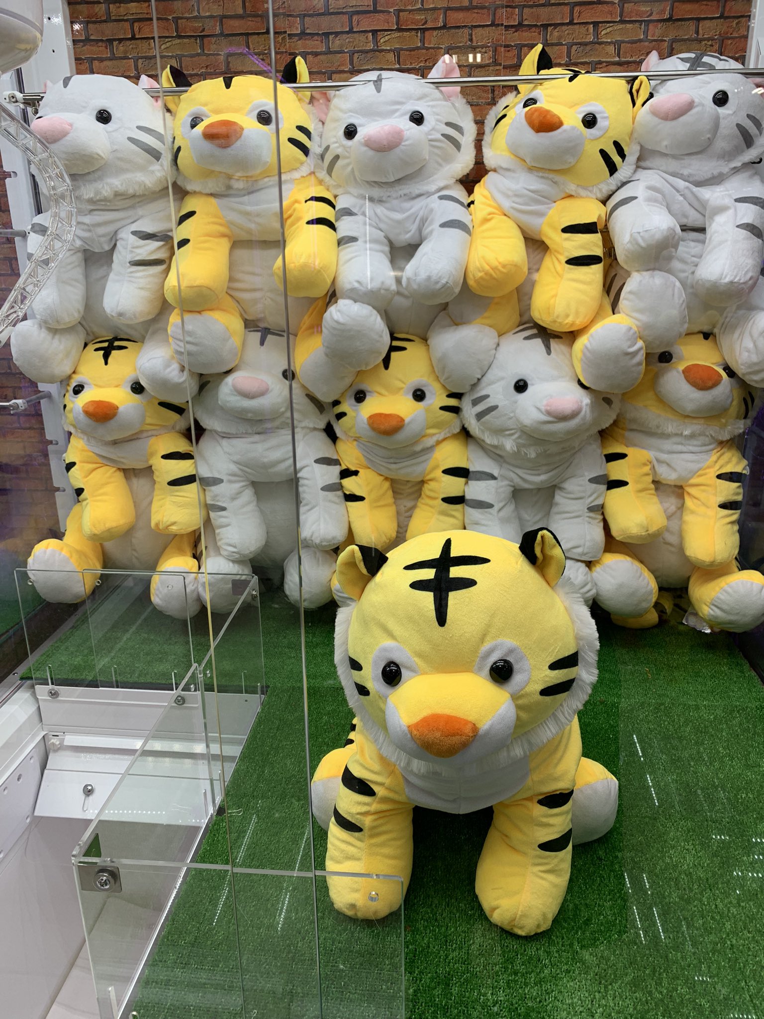 くったりシュナウザー Bigぬいぐるみ セット Zeitakuhin ぬいぐるみ Laxlibrary Com