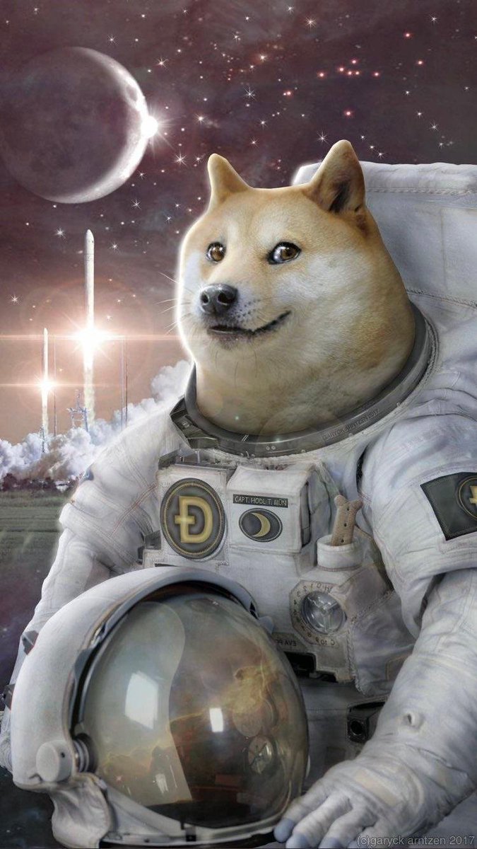 JUST IN: $DOGE <a href="/dogecoin/">Dogecoin</a> is back on top 10 purchased tokens by 1000 biggest #BSC wallets in the last 24hrs 👏👏

The top 1000 #BSC whales are hodling $46,070,284 #DogeCoin 🐳🐳

Whale leaderboard: whalestats.com/BSC

#DogeCommunity