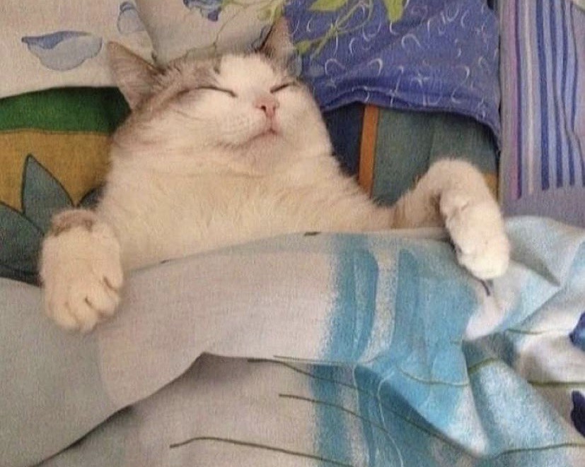 Guarromantico_'s tweet photo. Yo después de poner sonidos de lluvia para dormir. https://t.co/1vNPQLThqk