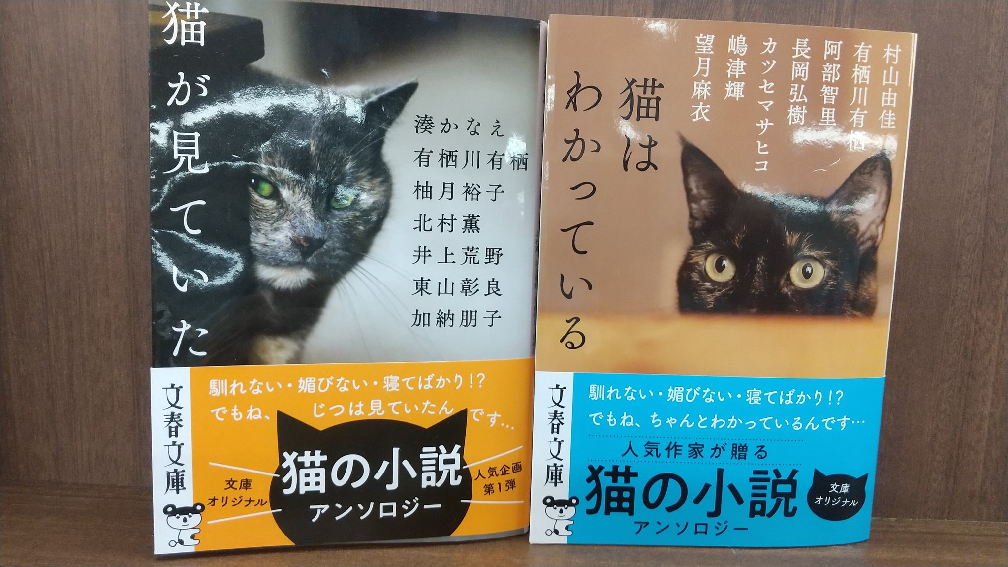 ふたば書房 洛西店 A Twitter 猫の日 おすすめ 悲しみの底で猫が教えてくれた大切なこと 瀧森古都 だいわ文庫 さりげない存在なのに どうして猫はこんなにも愛おしく 頼もしいのだろう T Co Wfkgpsee7j Twitter