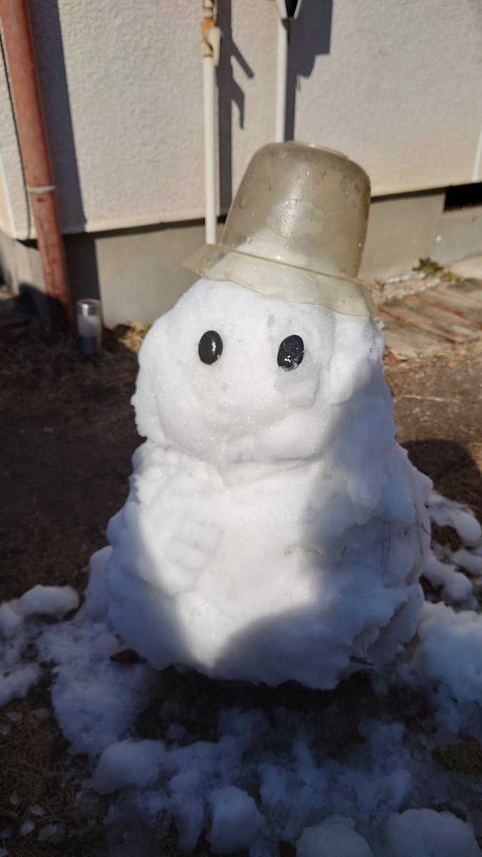 軽い気持ちで作った雪だるまくんだがエリーを守り抜いたRAVEのジークみたいになってしまい涙が込み上げてきた 