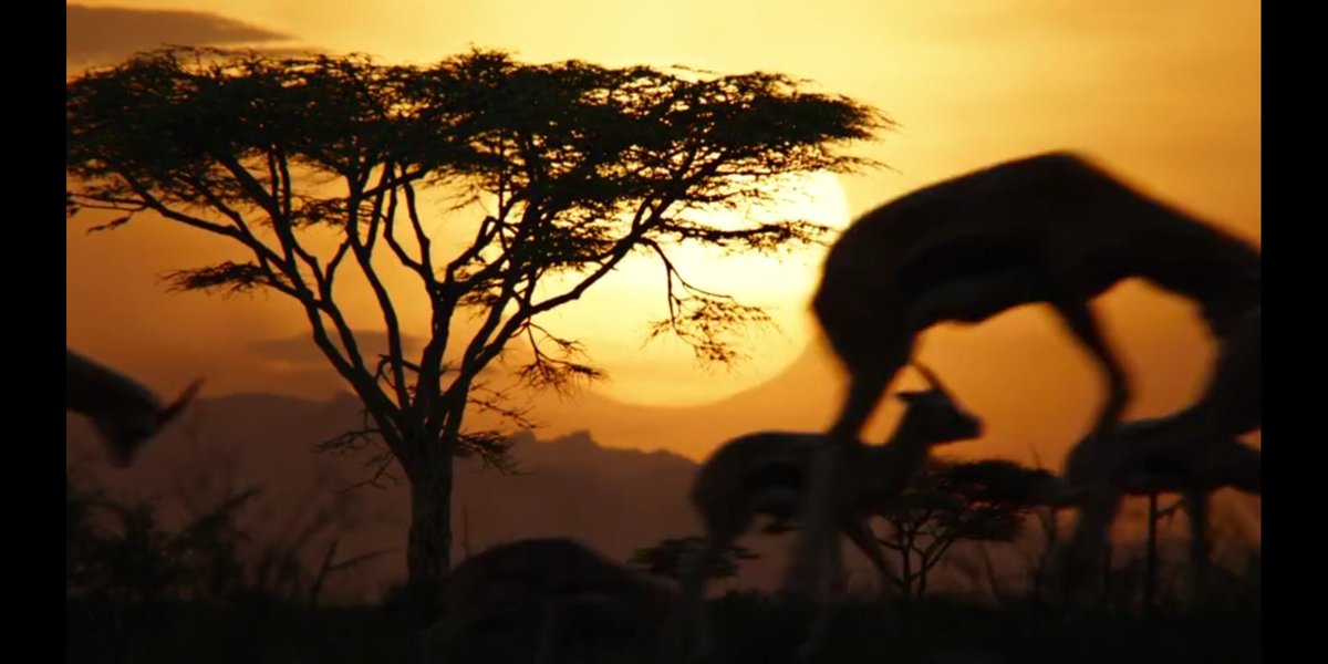 _underdog1999_'s tweet image. Happiness Depends on External Circumstances, But JOY is Based on Your Relationship with God.

Happy Sunday y'all

#readcaption #hollywoodpreempting #happytoshare #everydayisfood #jeremiad #misericordia #healthylifestyle