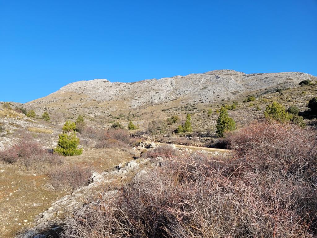 mpimentelsiles's tweet photo. Comenzamos ascenso al pico #Magina, 2164m, techo de #Jaén. Ruta hasta #Miramundo. Qué bonita es la #SierradeMágina. https://t.co/gn20FwR50T