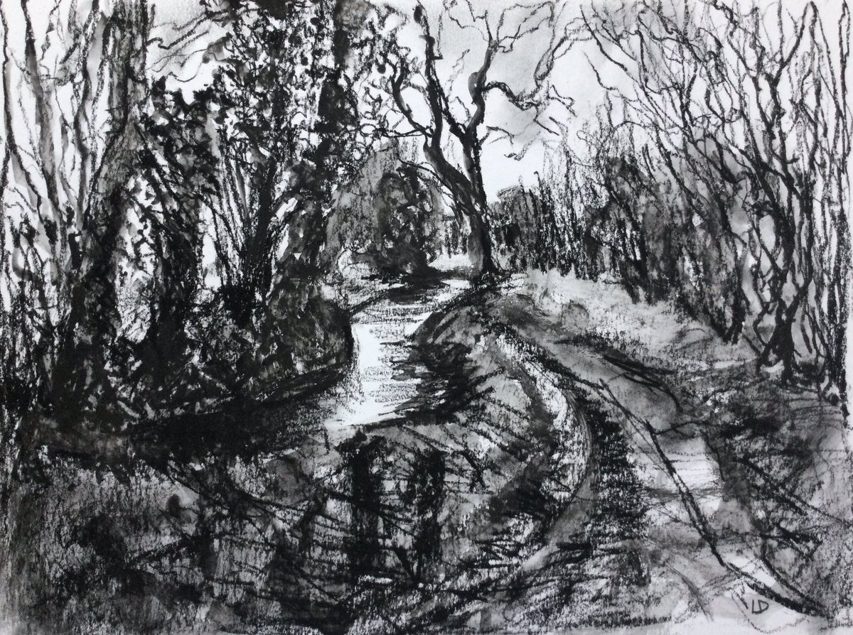 lorrainedurant's tweet photo. #drawing #compressedcharcoal https://t.co/szr71BqRqs