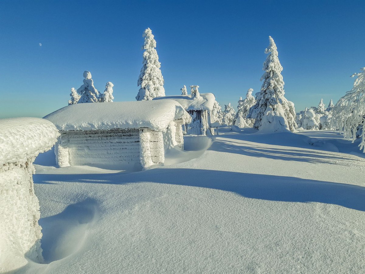 Tykkyluminen talvimaisema.