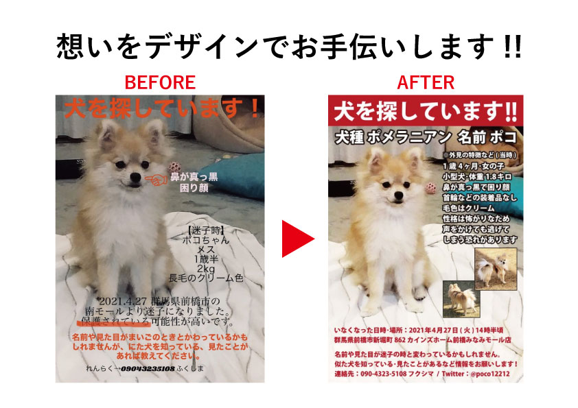 元保護犬 ポメラニアン はくのすけ Hakunosuke Tw Twitter 元保護犬 ポメラニアン はくのすけ Hakunosuke Tw Twitter