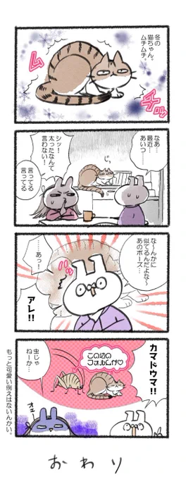 冬の猫ちゃんムッチムチ!!#るーさん #るー3 #日常 #日記 #4コマ漫画  