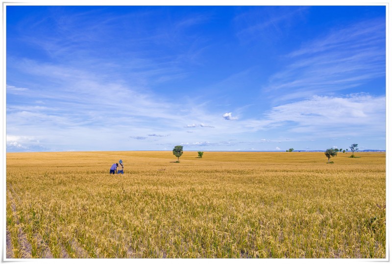 omegalove012012's tweet image. 멋져요~ 대단한 대한국인!