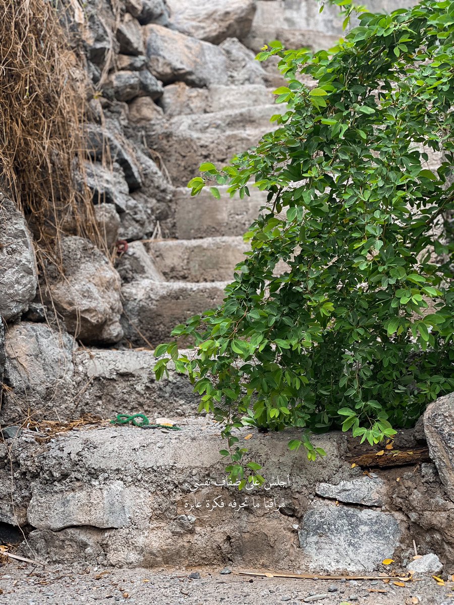 its.noyer tweet media