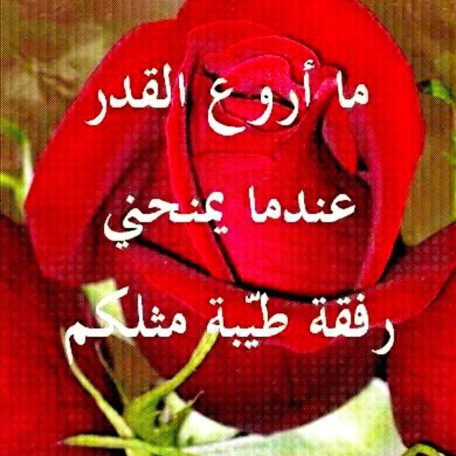 Haneen7317's tweet photo. @algnnh9 https://t.co/jZ0N6vQ2BG