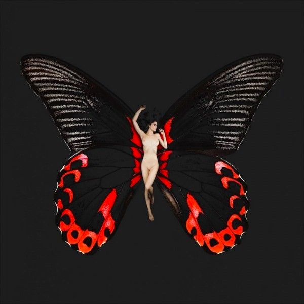 отряды насекомых с полным превращением. метаморфоз крыльев. превращение личинки в имаго. тутовый шелкопряд бабочка отряд. крылья бабочки.