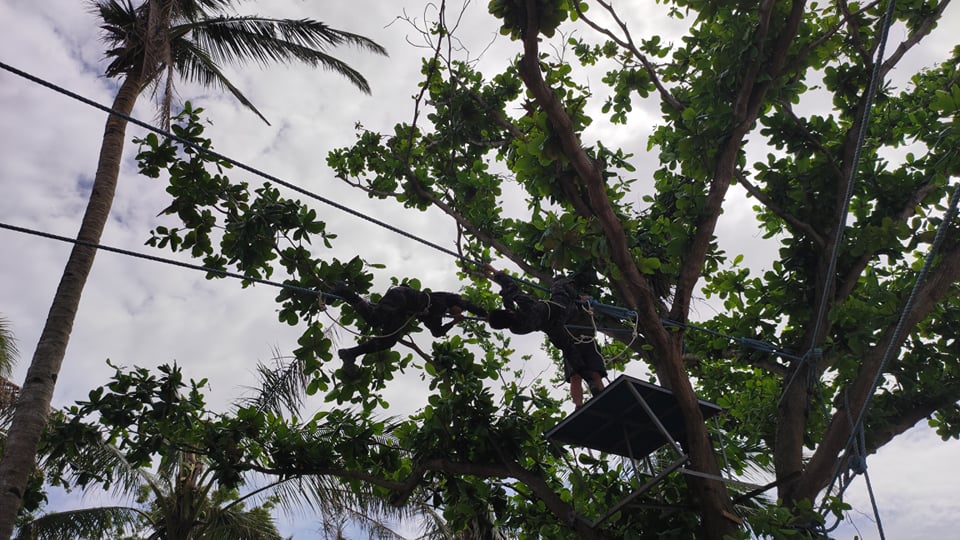 rstu7's tweet photo. On February 13, 2022 at about 1:00 PM, personnel of this unit under the supervision of PCOL PERCIVAL R ZORRILLA, Chief RSTU7, conducted the continuation of Rope Course to Delta Coy of PNP BISOC CL "BANGIS"  held at Camp Ceperino Genovia, Brgy. Bahay, Sibonga, Cebu. https://t.co/iEC1nDPj5a