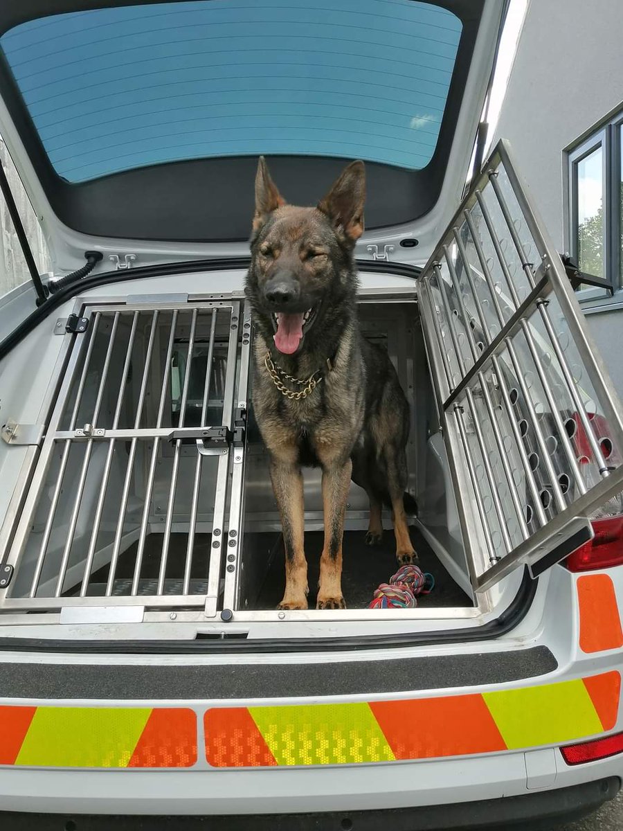 darren_sewelldj's tweet photo. Big day for us both today. First day operational for 2 years for me and first ever operational shift for PD Jura. Looking forward to the game Lcfc v West Ham. https://t.co/WSf4oLoxiq