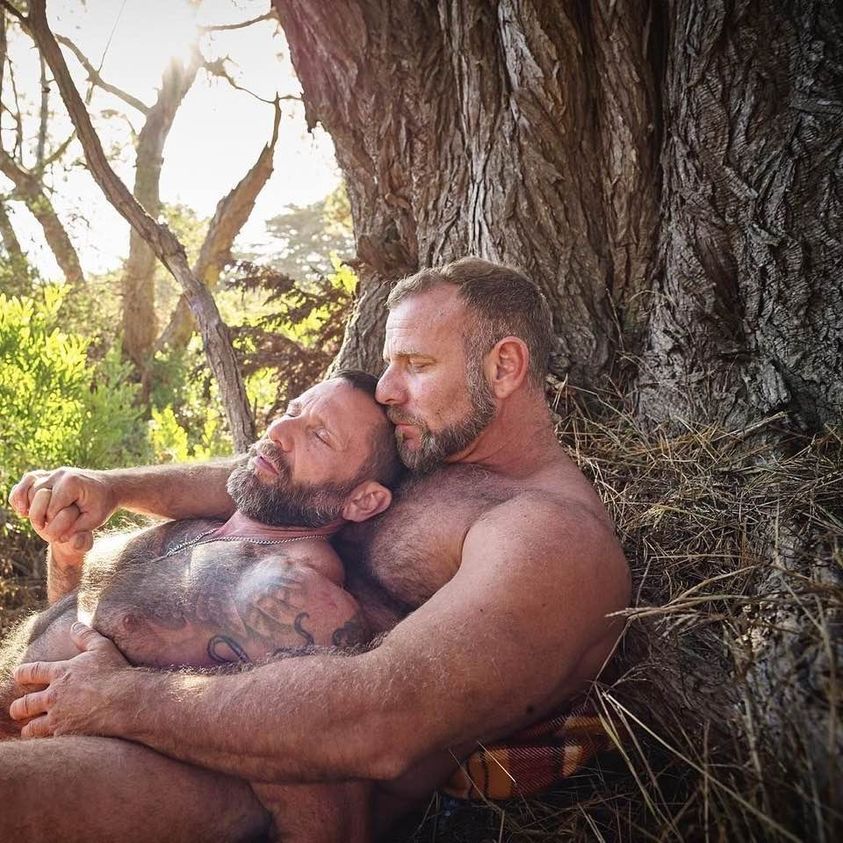 Gay free bears