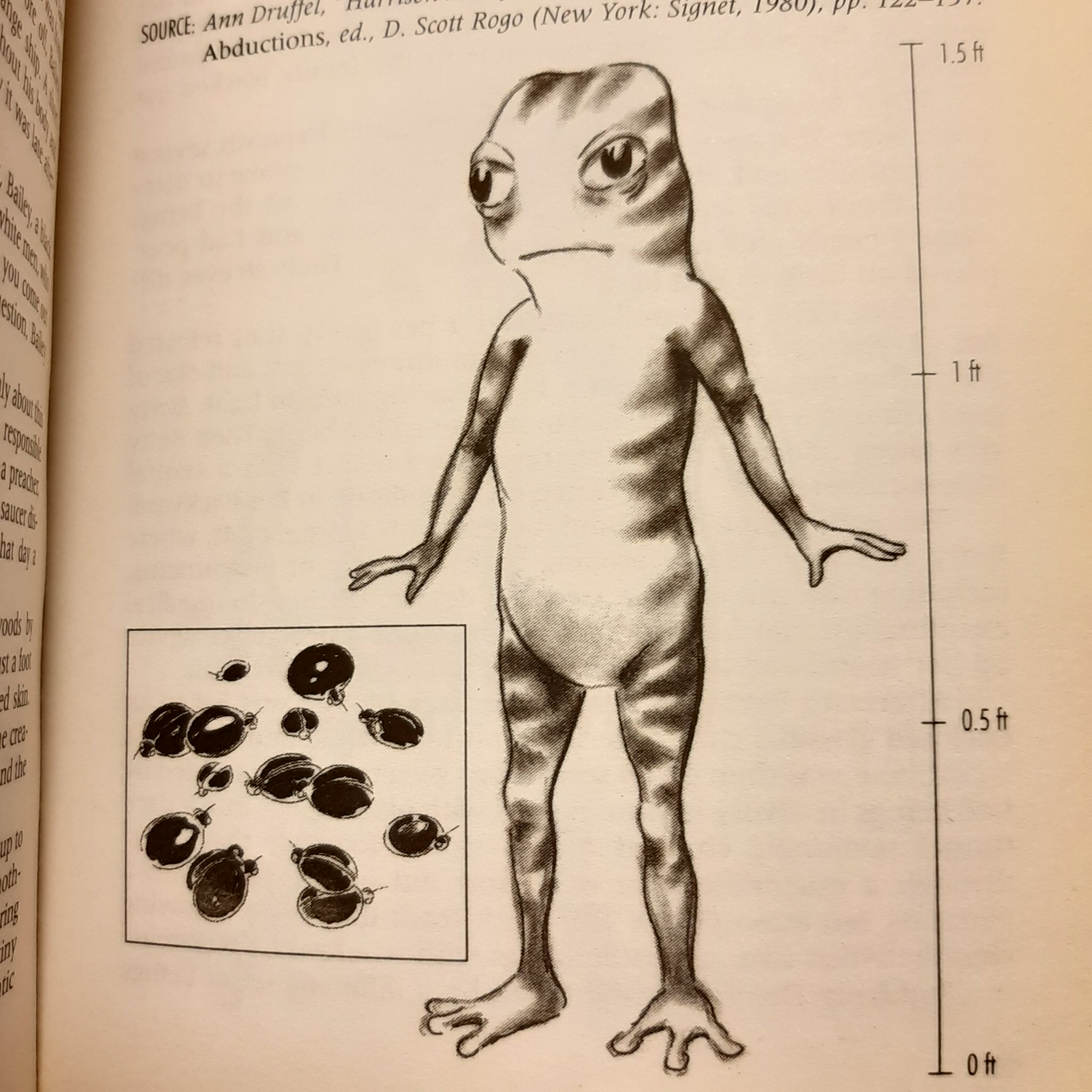 本城達也 on Twitter "個性派宇宙人その2 『The Field Guide To Extraterrestrials』より