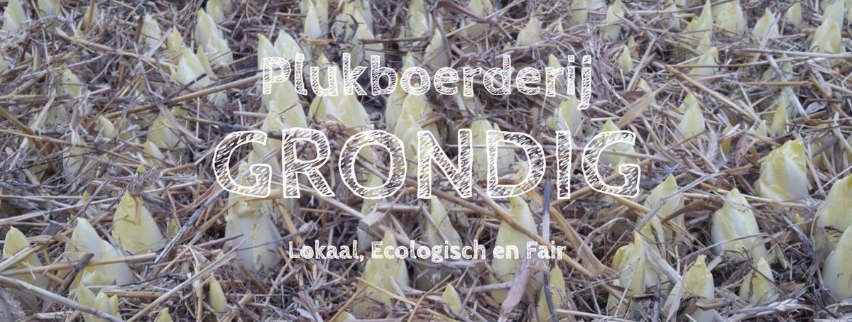 Ingrid Larik tweet media