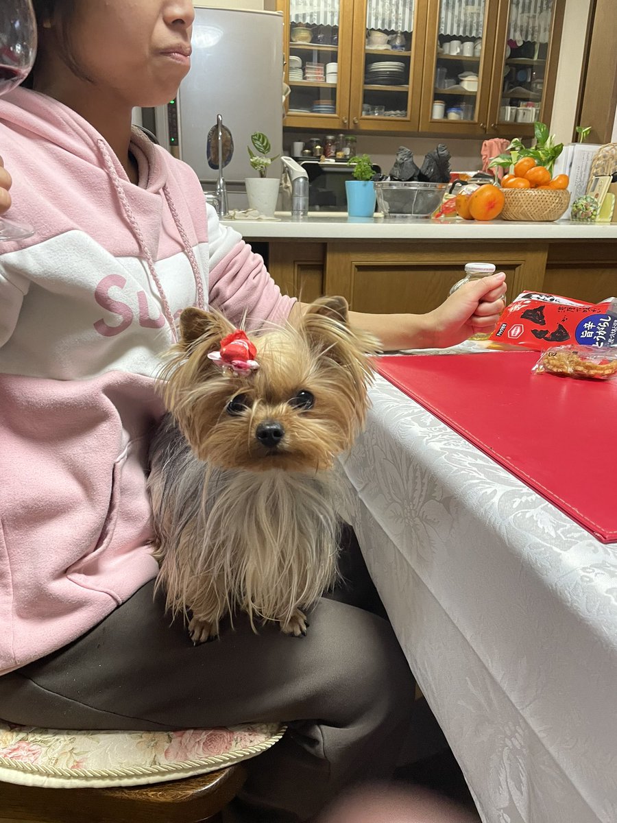 久々実家に帰ってました🥰