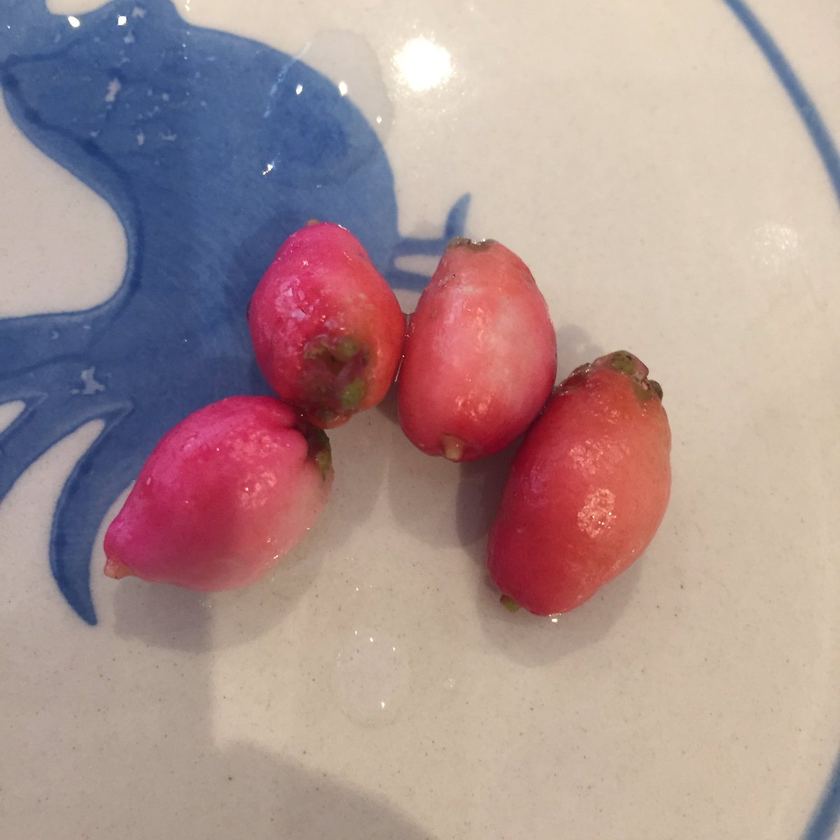alicechik's tweet photo. Tasted #lillypilly fruit, really sour but git a #guava taste https://t.co/F9BgC8FCuL
