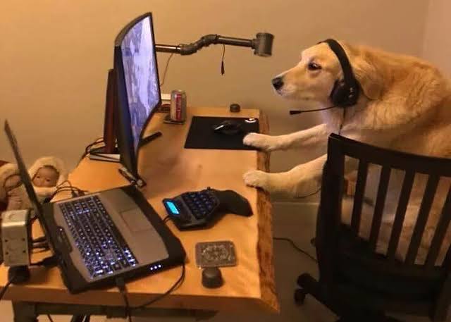 Yo tratando de buscar información y respuestas de porque terminaron su relación Belinda y Nodal 🧐