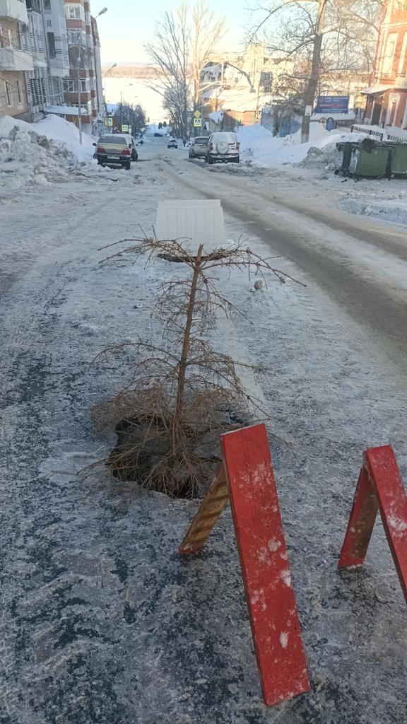 Перов Дмитрий tweet media