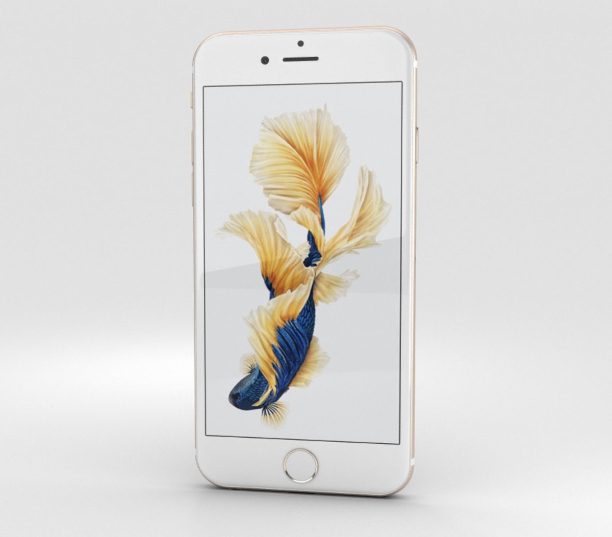 Apple Crypto Museum tweet media
