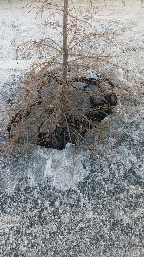 Перов Дмитрий tweet media