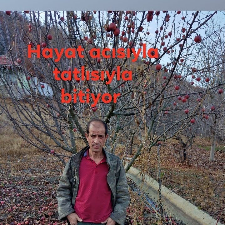 Kış havası