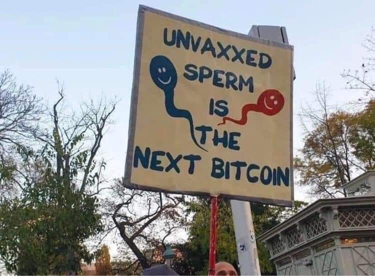 1__wwe's tweet image. البشر غير الهجين سيصبح عمله نادره
الحيوانات المنويه لغير الملحقين البيتكوين القادم⁉️⚠️👇🏻